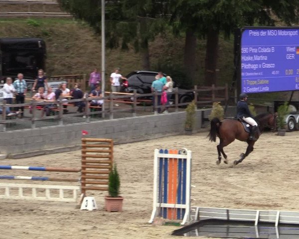 Reitturnier Siegen 2020