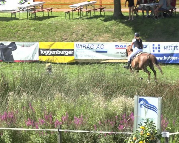 Reitturnier Aadorf 2020