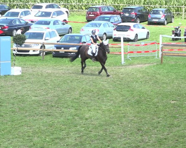 Reitturnier Aadorf 2020