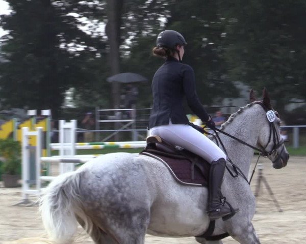 Reitturnier Datteln 2020