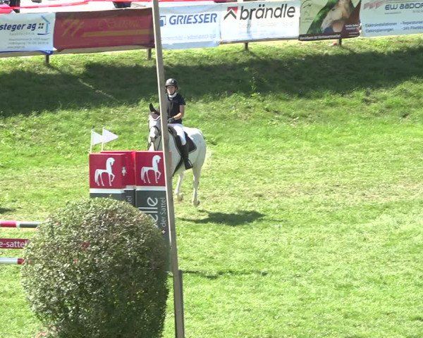 Reitturnier Aadorf 2020