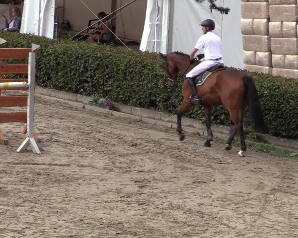 Reitturnier Siegen 2020