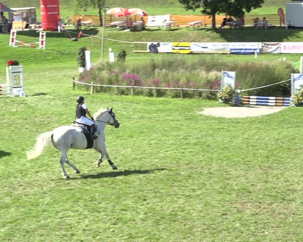 Reitturnier Aadorf 2020