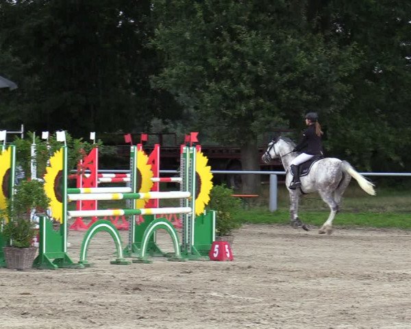 Reitturnier Datteln 2020