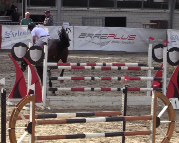 Reitturnier Siegen 2020