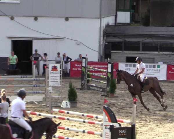 Reitturnier Siegen 2020