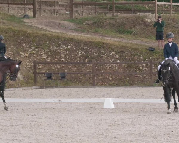 Reitturnier Bübinger Hof 2020