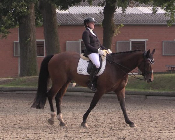 Reitturnier Datteln 2020