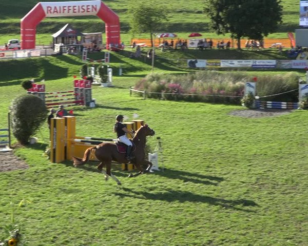Reitturnier Aadorf 2020