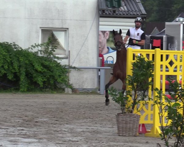 Reitturnier Datteln 2020