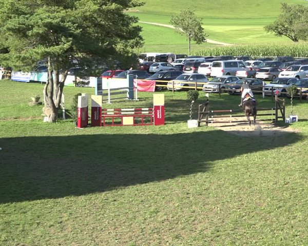 Reitturnier Aadorf 2020