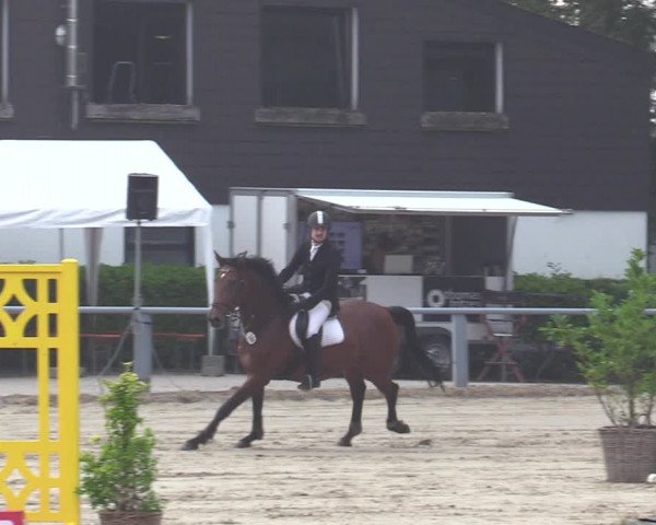 Reitturnier Datteln 2020