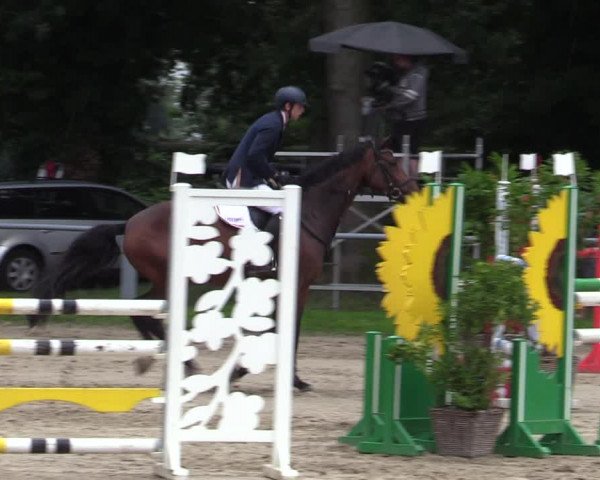 Reitturnier Datteln 2020