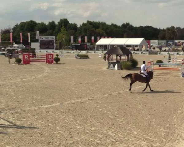 FEI Reitturnier Lier (BEL) 2020