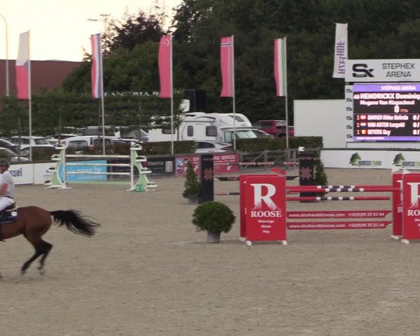 FEI Reitturnier Lier (BEL) 2020