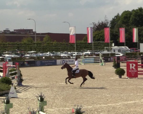 FEI Reitturnier Lier (BEL) 2020