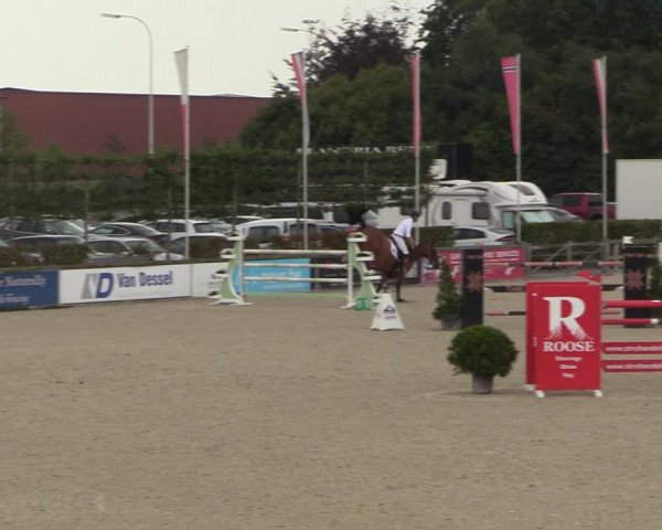 FEI Reitturnier Lier (BEL) 2020