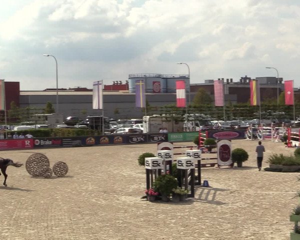 FEI Reitturnier Lier (BEL) 2020