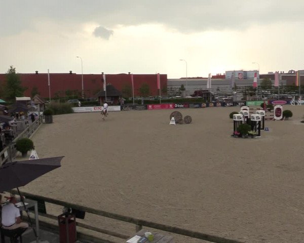 FEI Reitturnier Lier (BEL) 2020