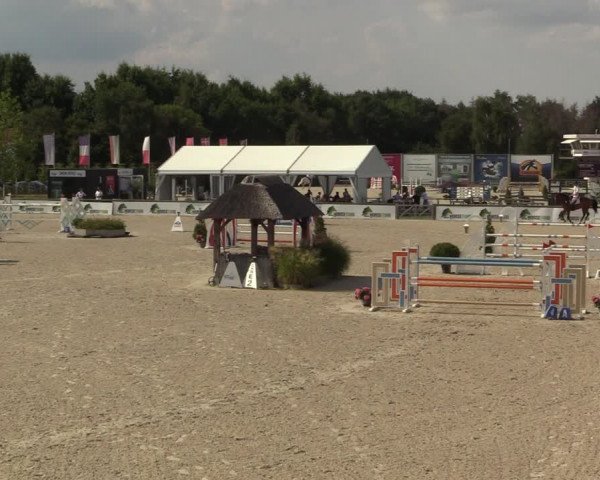 FEI Reitturnier Lier (BEL) 2020