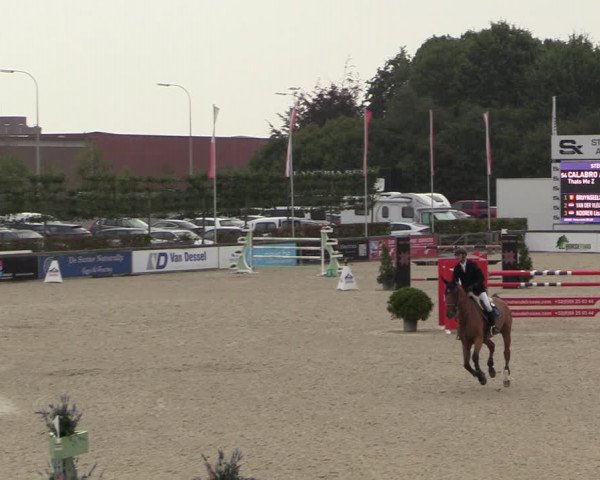 FEI Reitturnier Lier (BEL) 2020