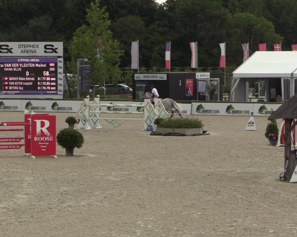 FEI Reitturnier Lier (BEL) 2020