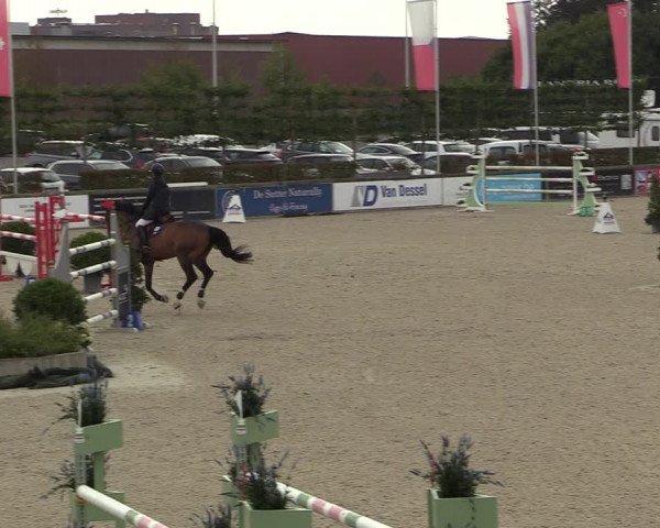 FEI Reitturnier Lier (BEL) 2020