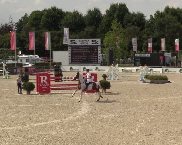 FEI Reitturnier Lier (BEL) 2020
