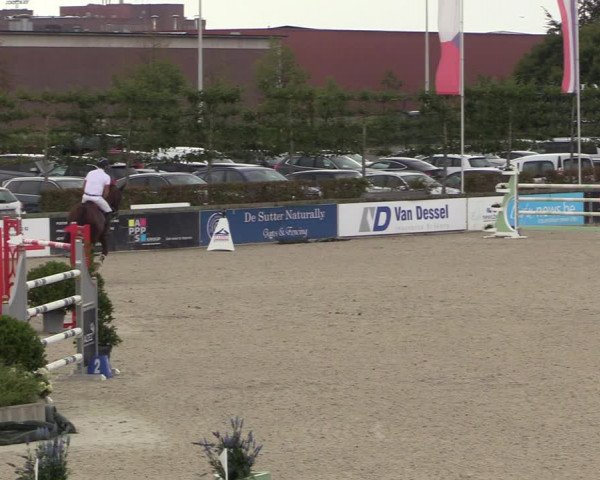 FEI Reitturnier Lier (BEL) 2020