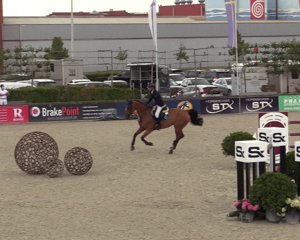 FEI Reitturnier Lier (BEL) 2020