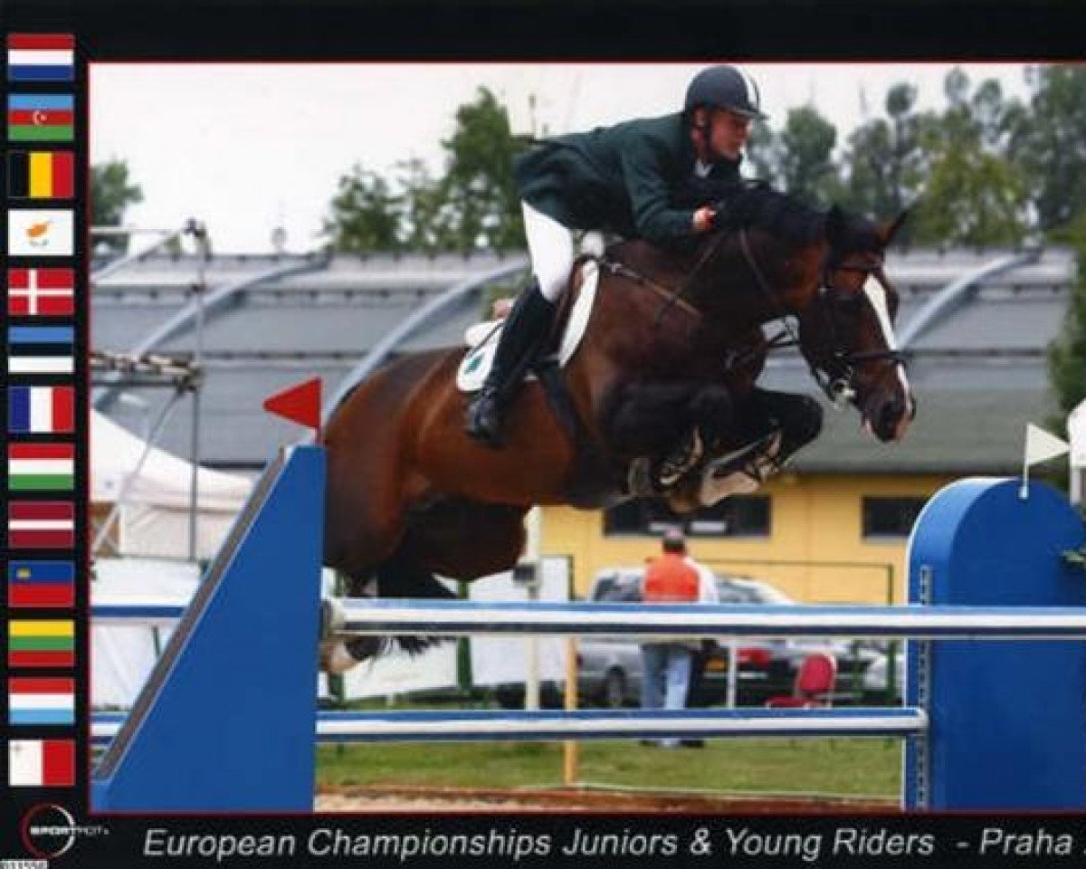 stallion Goldex (Hanoverian, 1990, from Goldfasan)