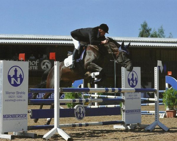 jumper Loona 70 (Bavarian, 2005, from Levantino H)