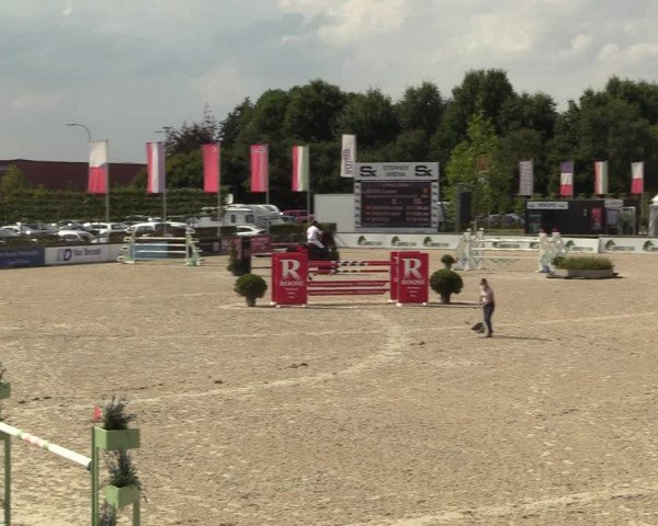 FEI Reitturnier Lier (BEL) 2020