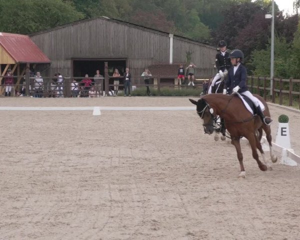 Reitturnier Bübinger Hof 2020