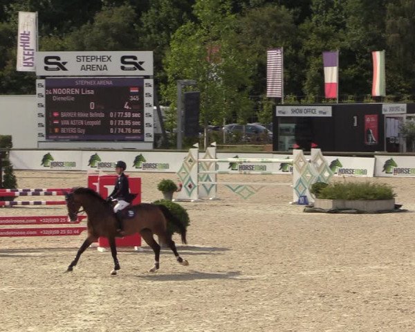 FEI Reitturnier Lier (BEL) 2020