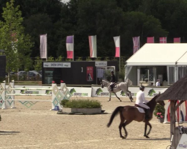 FEI Reitturnier Lier (BEL) 2020
