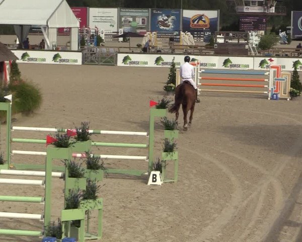 FEI Reitturnier Lier (BEL) 2020