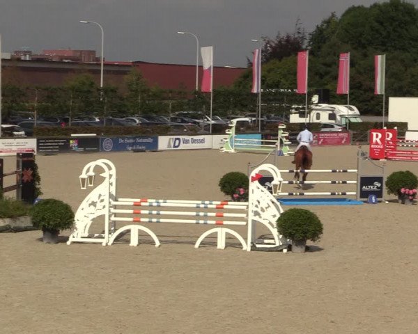 FEI Reitturnier Lier (BEL) 2020