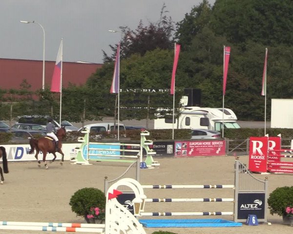 FEI Reitturnier Lier (BEL) 2020