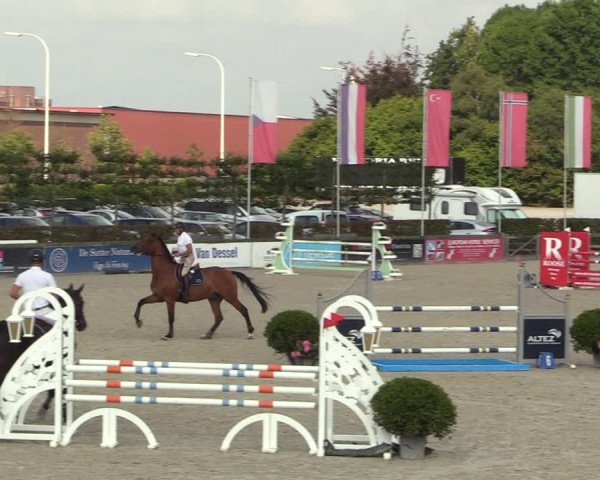 FEI Reitturnier Lier (BEL) 2020