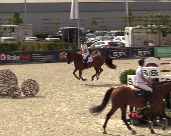 FEI Reitturnier Lier (BEL) 2020