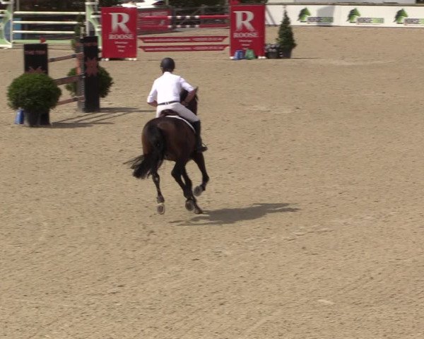FEI Reitturnier Lier (BEL) 2020