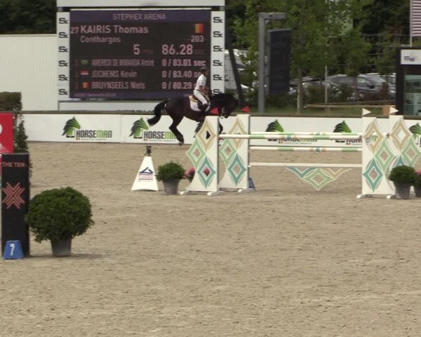 FEI Reitturnier Lier (BEL) 2020