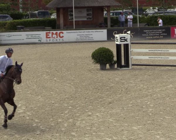 FEI Reitturnier Lier (BEL) 2020
