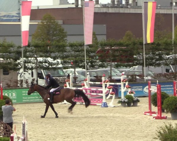 FEI Reitturnier Lier (BEL) 2020
