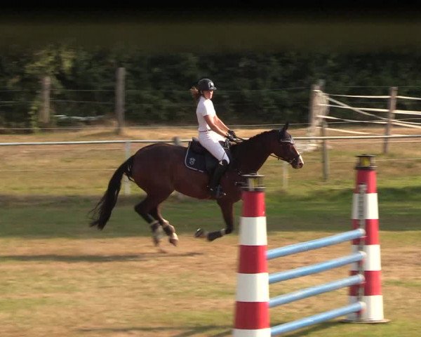 Reitturnier Kellinghusen 2020