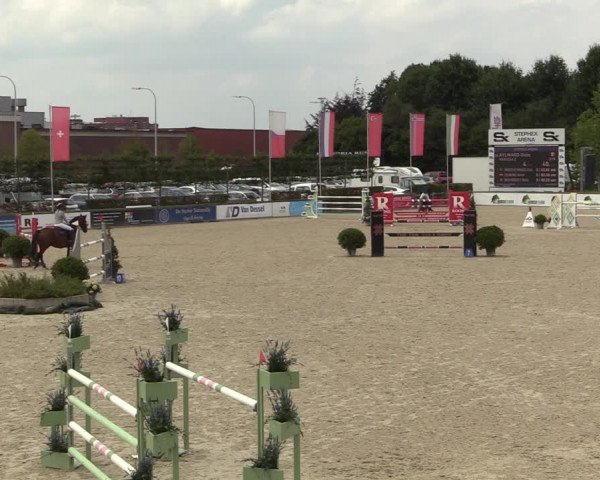FEI Reitturnier Lier (BEL) 2020