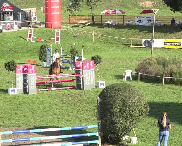Reitturnier Aadorf 2020