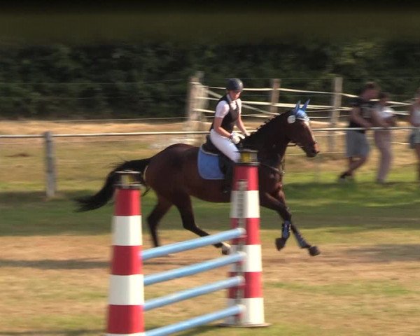 Reitturnier Kellinghusen 2020
