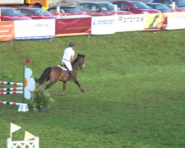 Reitturnier Aadorf 2020